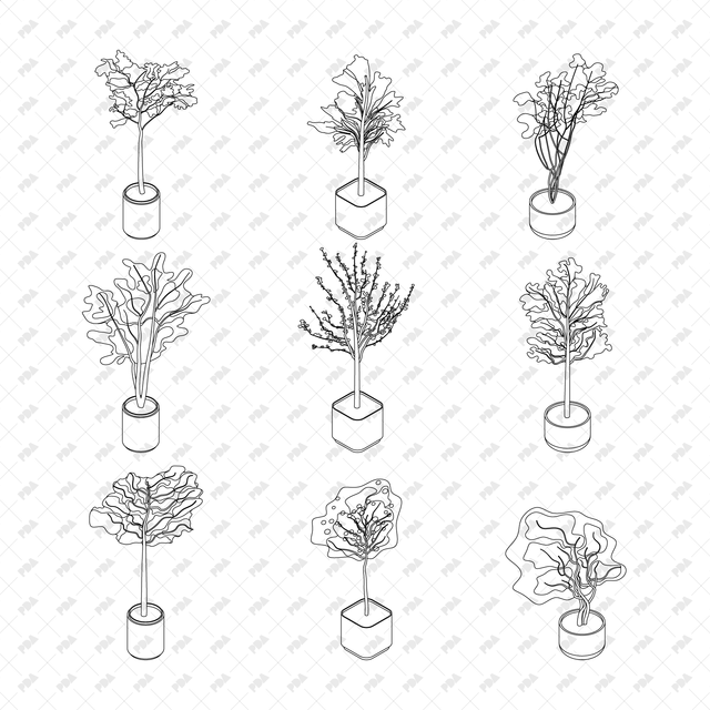 CAD, Vector, PNG Isometric Plants and Trees in Planters - Post Digital Architecture — Free and Affordable Resources for Architects