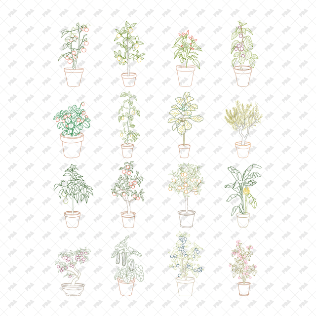 CAD, Vector Potted Fruit Trees and Plants (In color and B/W)