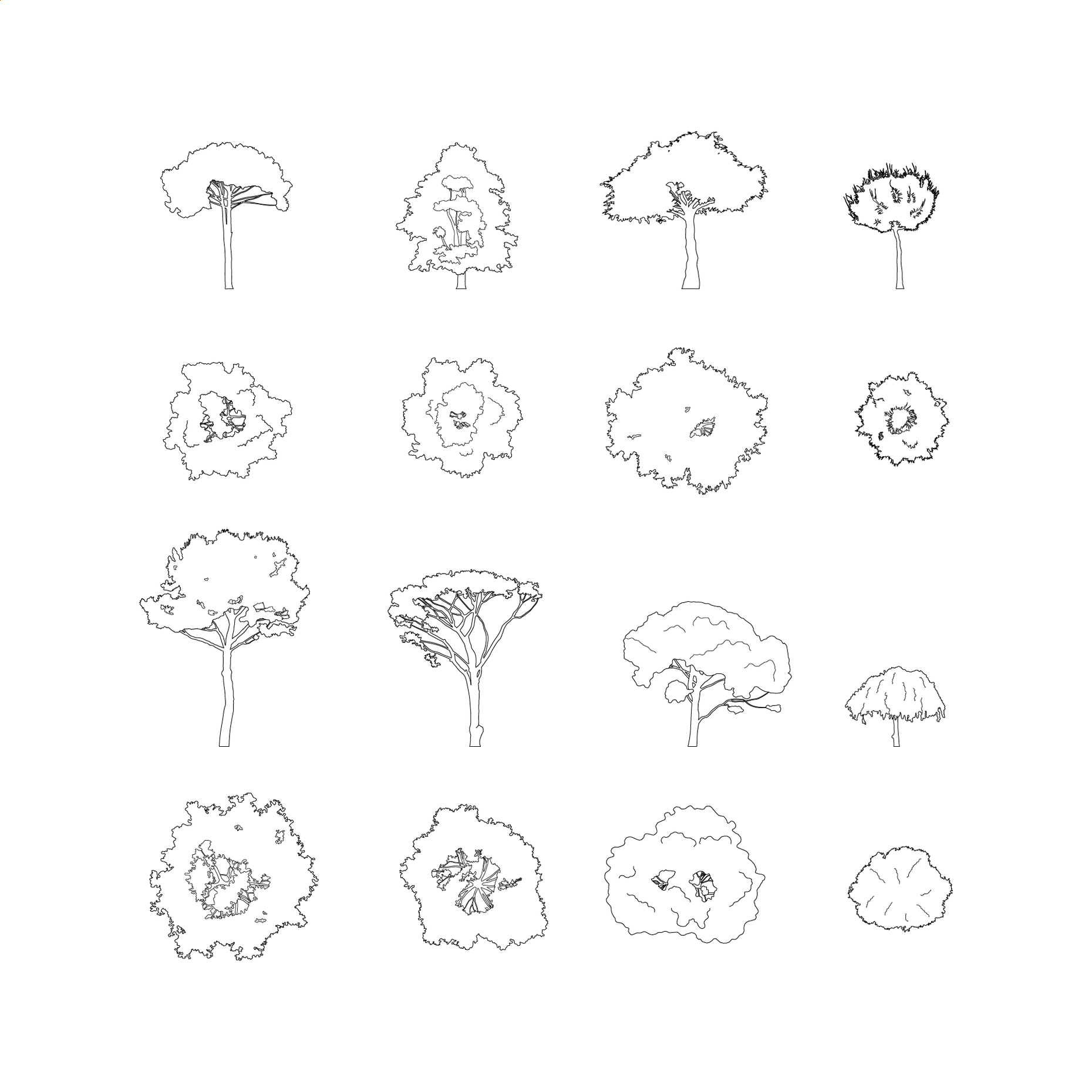 CAD, Vector Trees Set (Top and Side View) | Post Digital Architecture