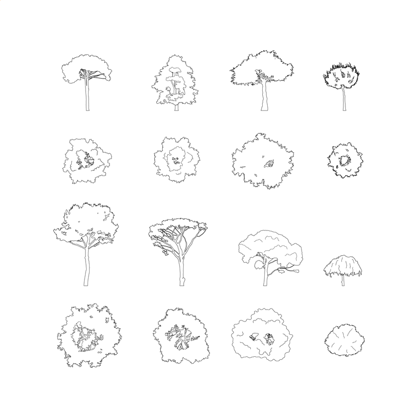CAD, Vector Trees Set (Top and Side View) | Post Digital Architecture