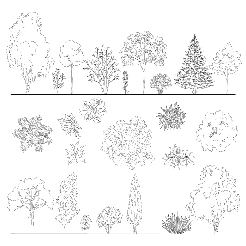 CAD, Vector Trees and Plants in Top and Side View Set