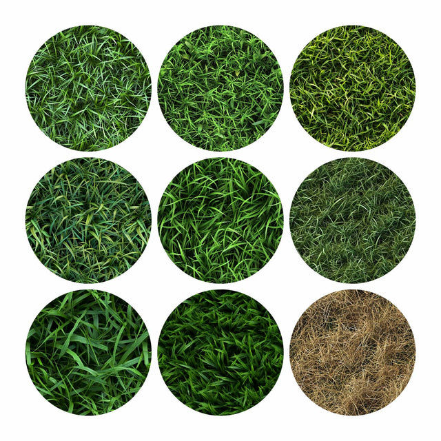 Pattern Library - Seamless Grass Textures