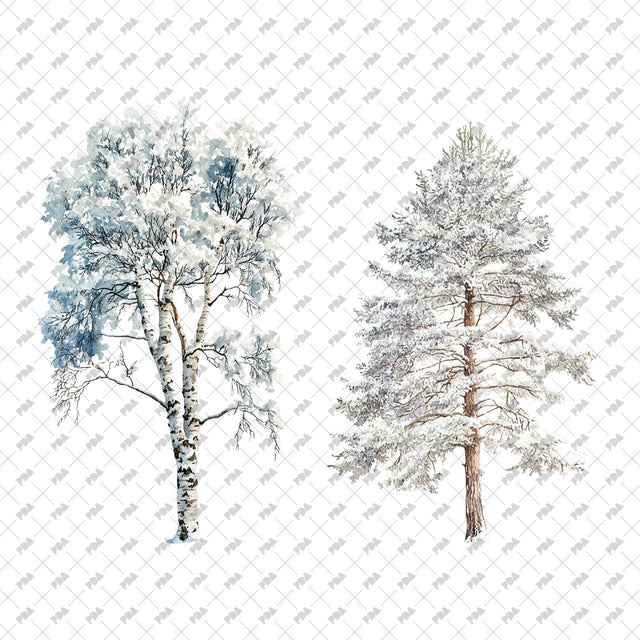 PNG Winter Trees - Post Digital Architecture — Free and Affordable Resources for Architects