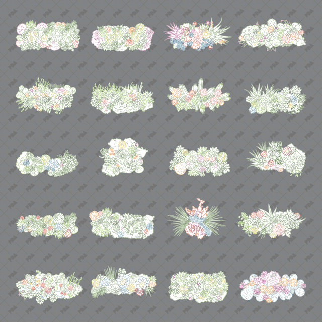 CAD, Vector, PNG Succulent and Cactus Landscapes in Top View in Color and B/W - Post Digital Architecture — Free and Affordable Resources for Architects