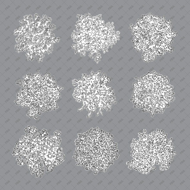 CAD, Vector, PNG Fruit Trees in Color and B/W (Top View) - Post Digital Architecture — Free and Affordable Resources for Architects