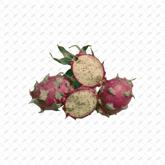 PNG Post Digital Collage Fruit Cutouts - Post Digital Architecture — Free and Affordable Resources for Architects