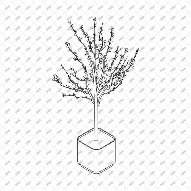 CAD, Vector, PNG Isometric Plants and Trees in Planters - Post Digital Architecture — Free and Affordable Resources for Architects