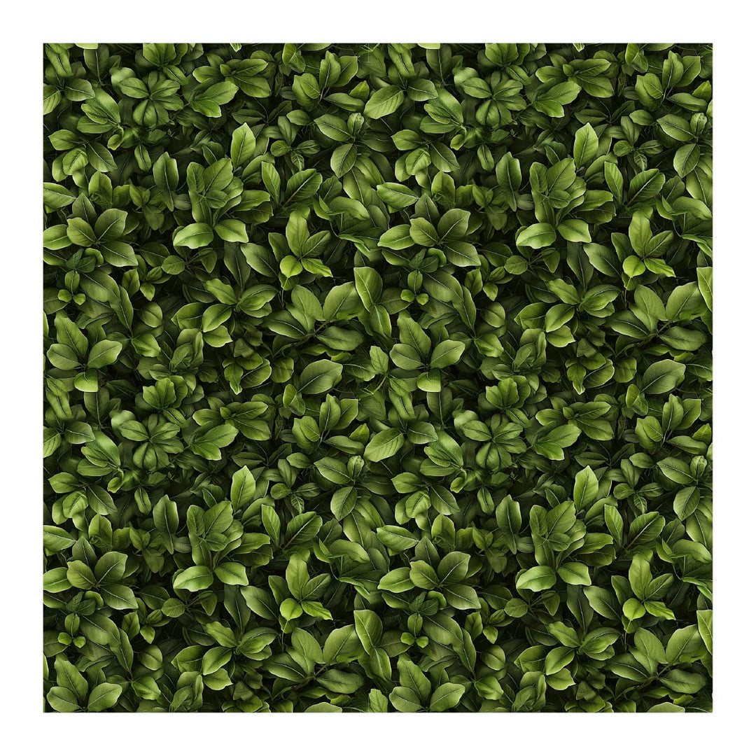 Plaint Texture Pattern Library - Seamless Green Plant Wall Textures