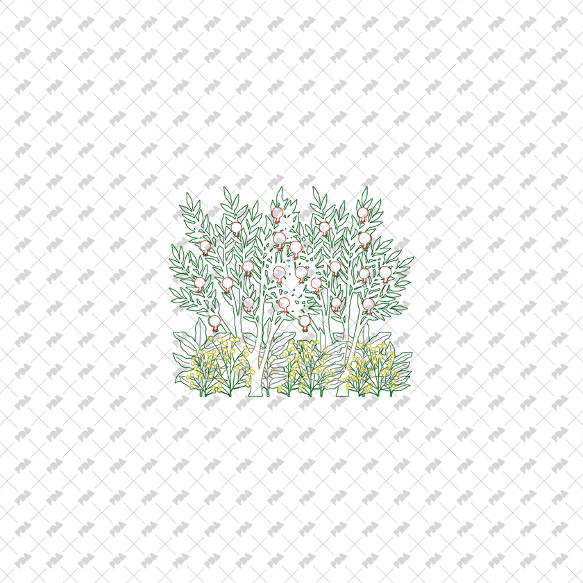Grooves Vector Icon CAD, Vector Groves of Trees in Color and B/W