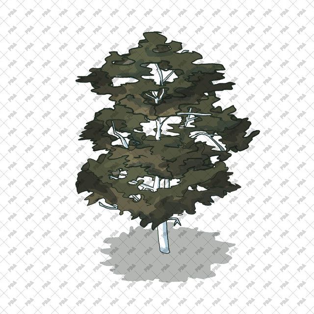 Isometric Hand Drawn Trees - Post Digital Architecture — Free and Affordable Resources for Architects