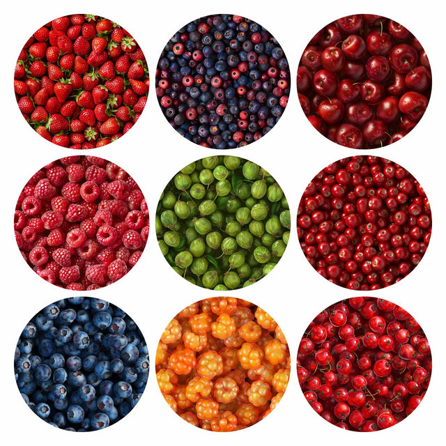 Pattern Library - Berries Textures (In top view)