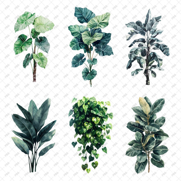 PNG Watercolor Plants