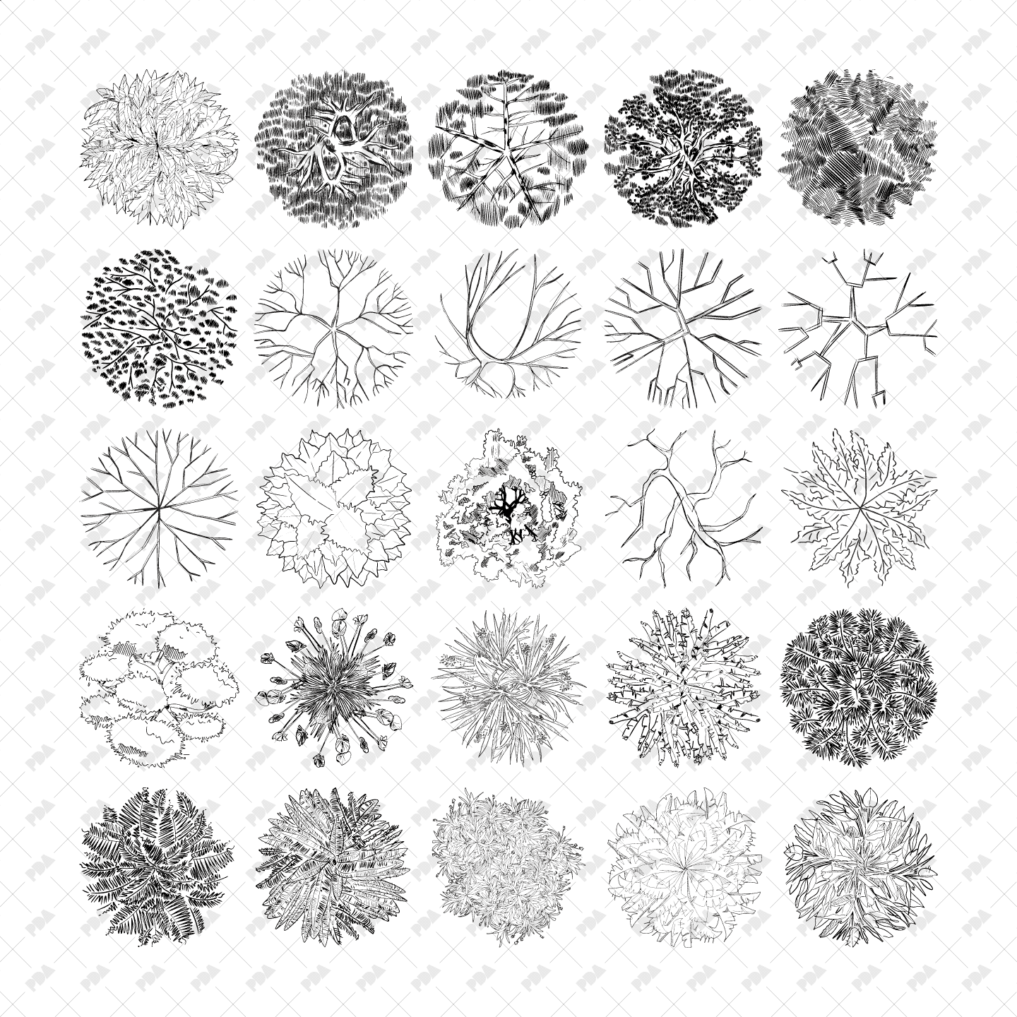 Tree Plan View Png