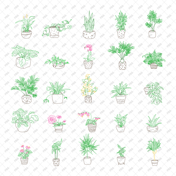 CAD, Vector Indoor Plants in Color