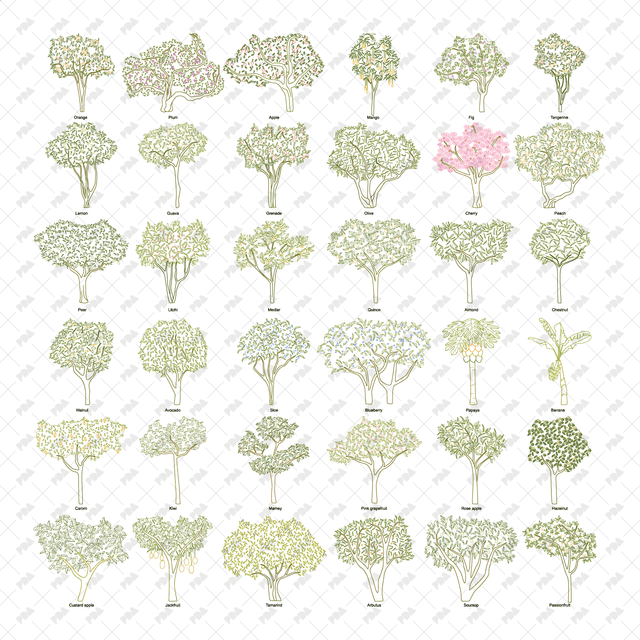 CAD, Vector Fruit Trees in Color and B/W - Post Digital Architecture — Free and Affordable Resources for Architects