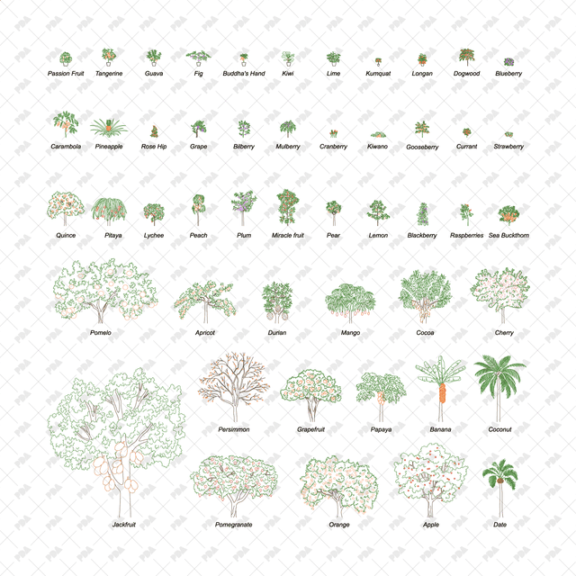 CAD, Vector Fruit Trees and Plants in Color - Post Digital Architecture — Free and Affordable Resources for Architects