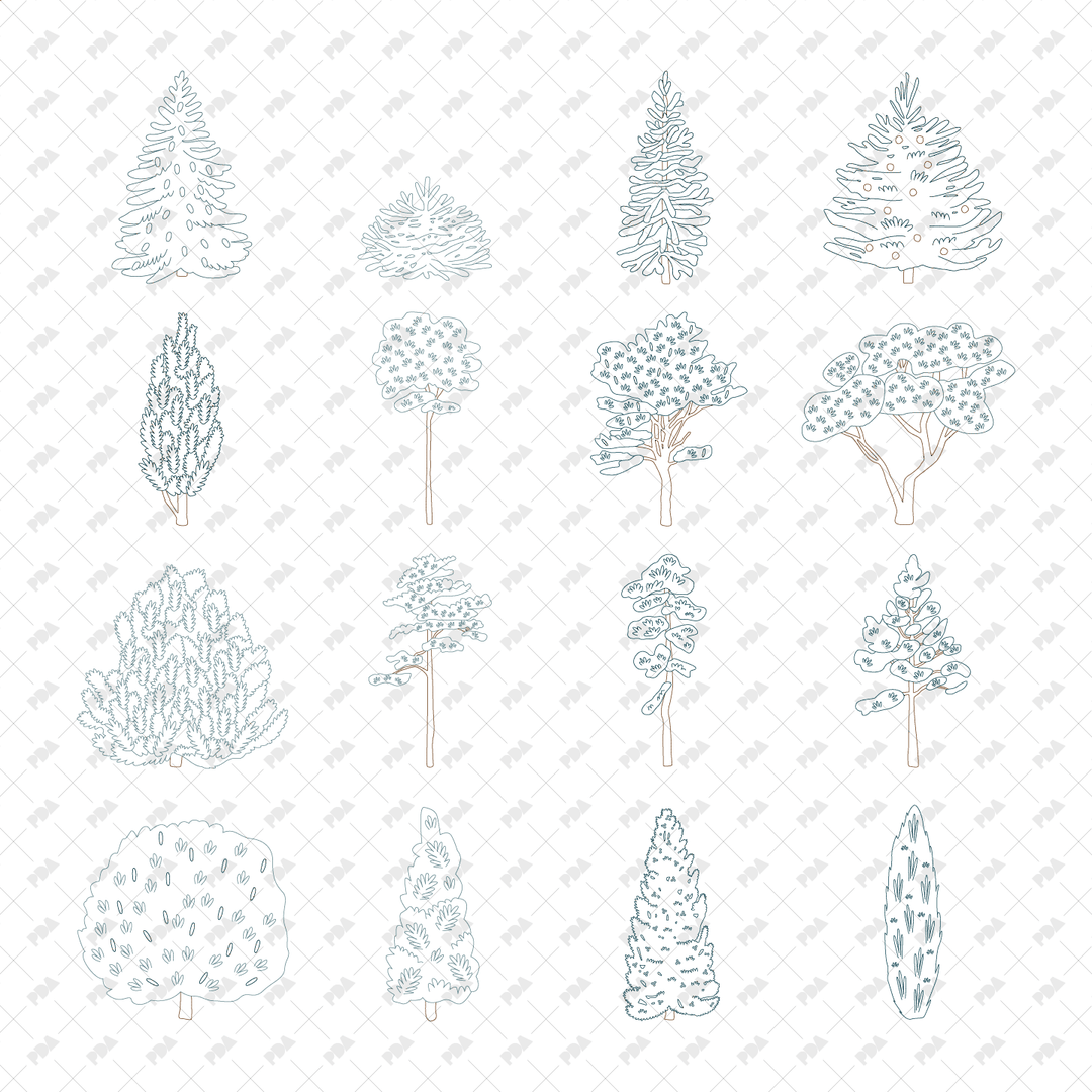 Tree Side Vector Hand Drawn Coniferous Trees (Side view)