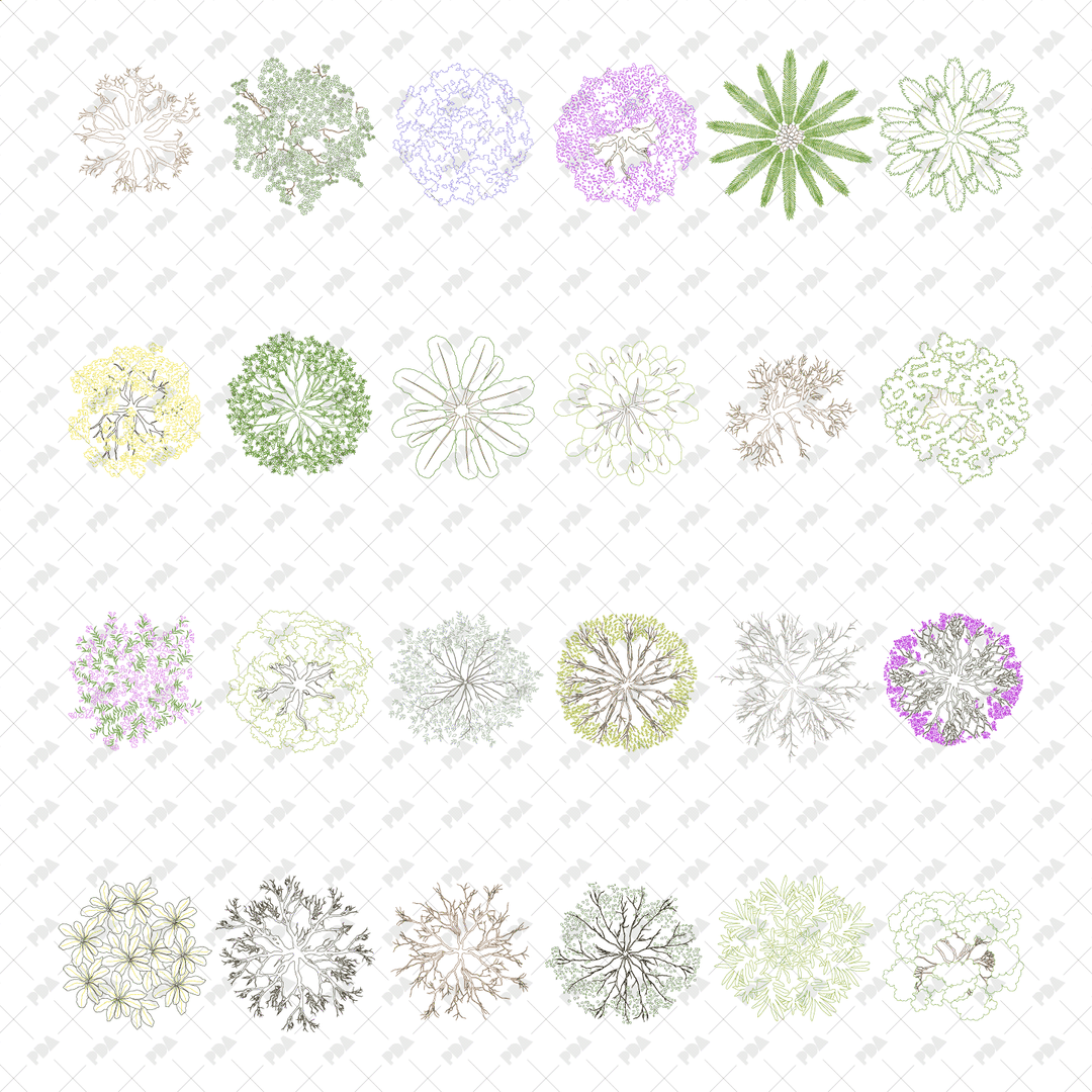 Vector, PNG Colorful Desert Plants in Top, Side View