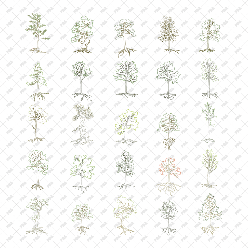 CAD, Vector Trees with Roots in Color and B/W