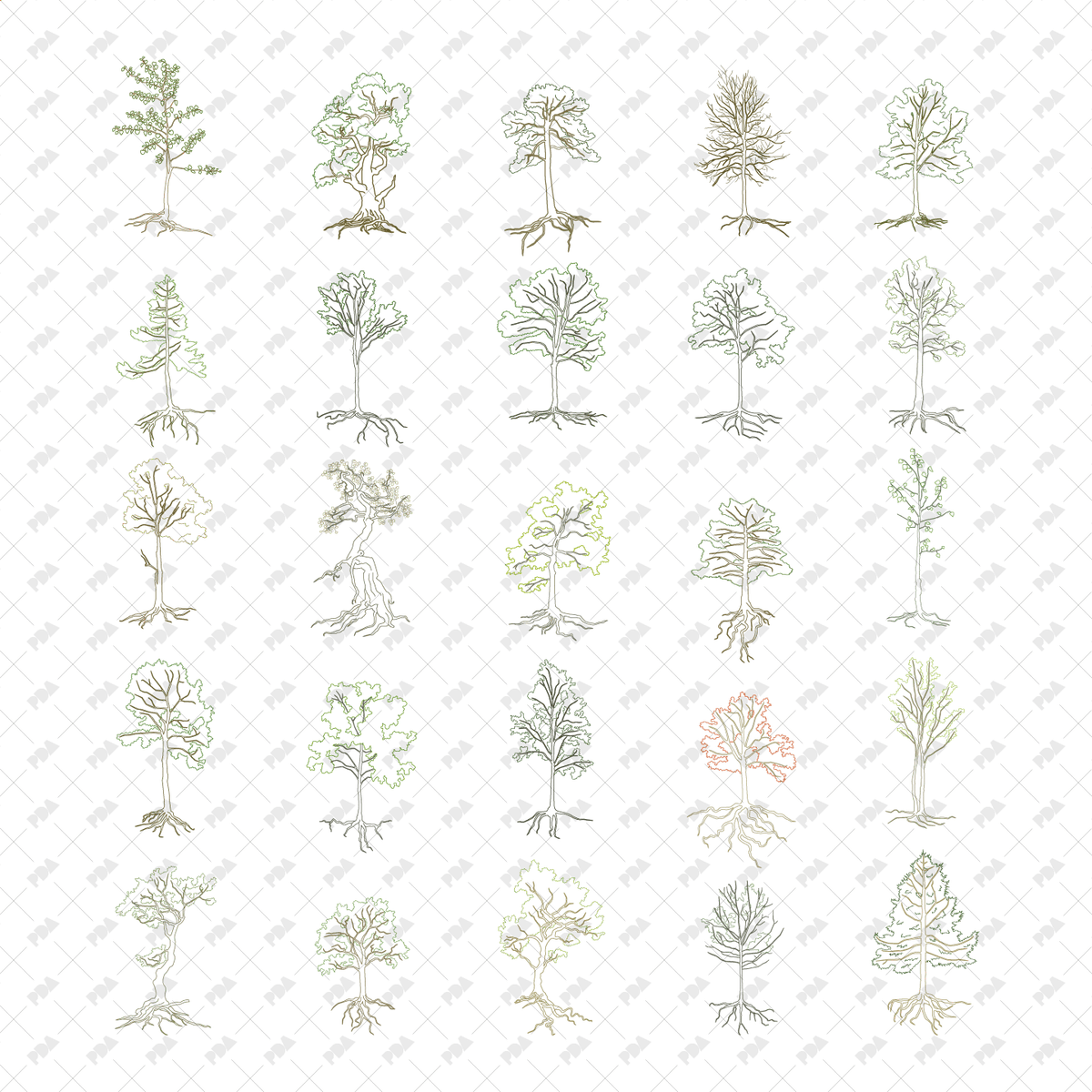 CAD, Vector Trees with Roots in Color and B/W