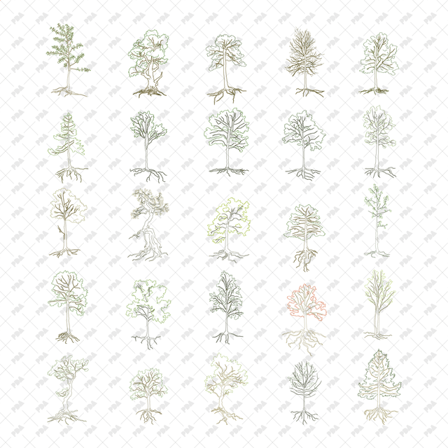 CAD, Vector Trees with Roots in Color and B/W