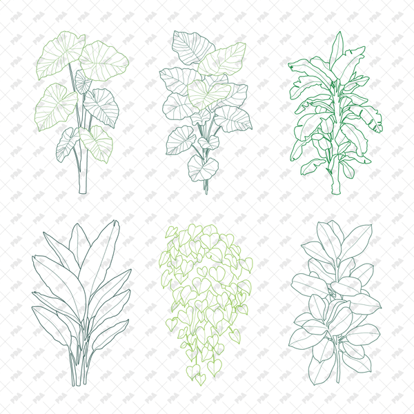 CAD, Vector, PNG Plants in Color and B/W