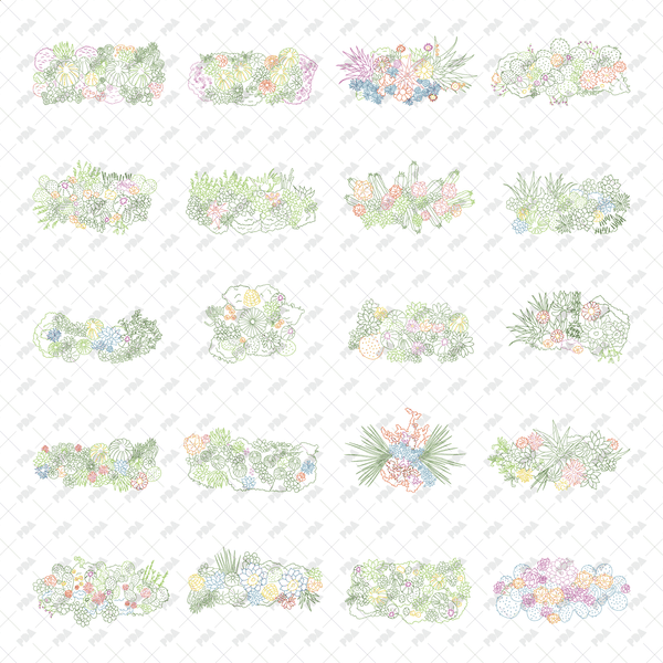 CAD, Vector, PNG Succulent and Cactus Landscapes in Top View in Color and B/W