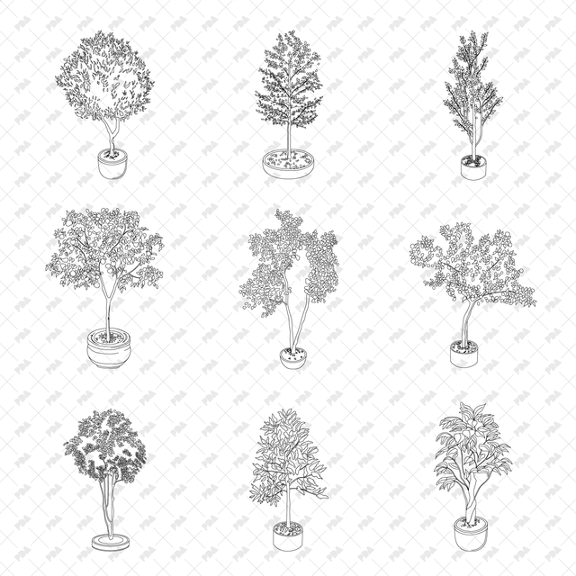 CAD, Vector, PNG Isometric Trees in Planters - Post Digital Architecture — Free and Affordable Resources for Architects