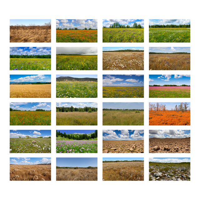 Meadows, Fields Backgrounds Set - Post Digital Architecture — Free and Affordable Resources for Architects