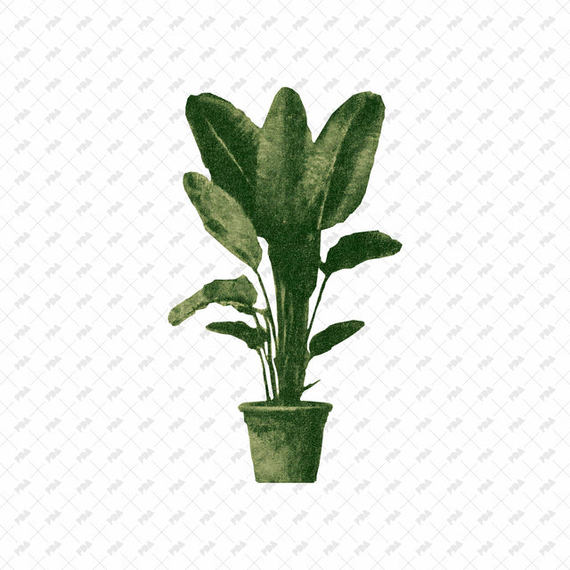 PNG Abstract Naïve Potted Plant Cutouts - Post Digital Architecture — Free and Affordable Resources for Architects