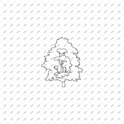 CAD, Vector Trees Set (Top and Side View)