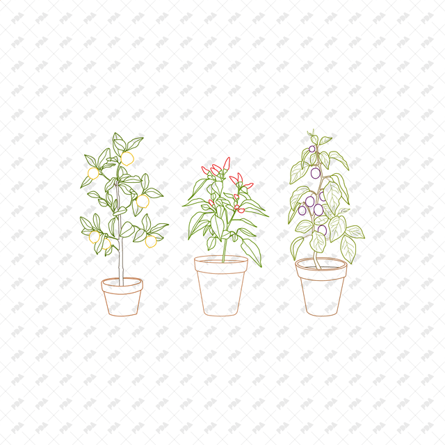 CAD, Vector Potted Fruit Trees and Plants (In color and B/W)