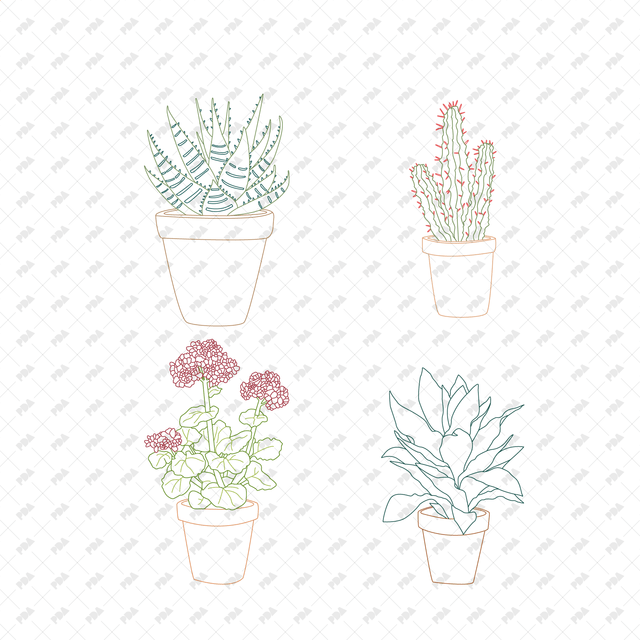 CAD, Vector Indoor Plants in Color and B/W Set (Front view)