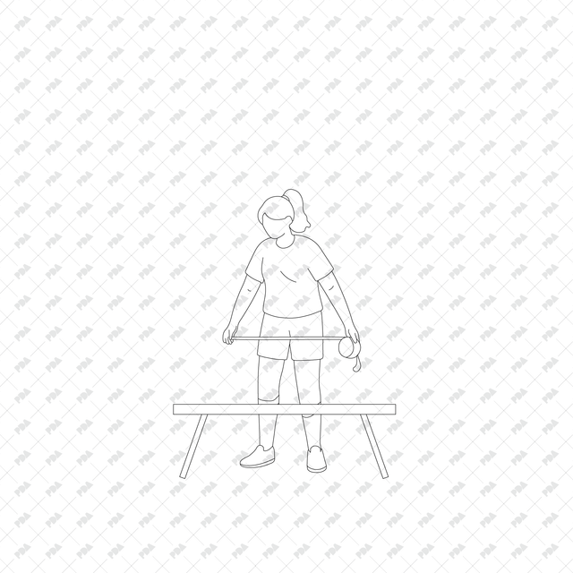 CAD, Vector, PNG Home Renovation in Front and Side Views - Post Digital Architecture — Free and Affordable Resources for Architects