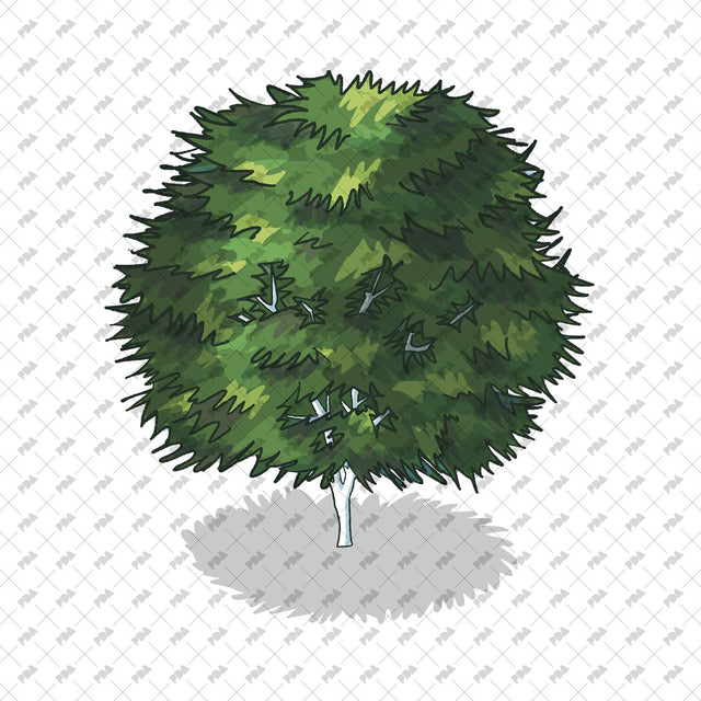 Isometric Hand Drawn Trees - Post Digital Architecture — Free and Affordable Resources for Architects