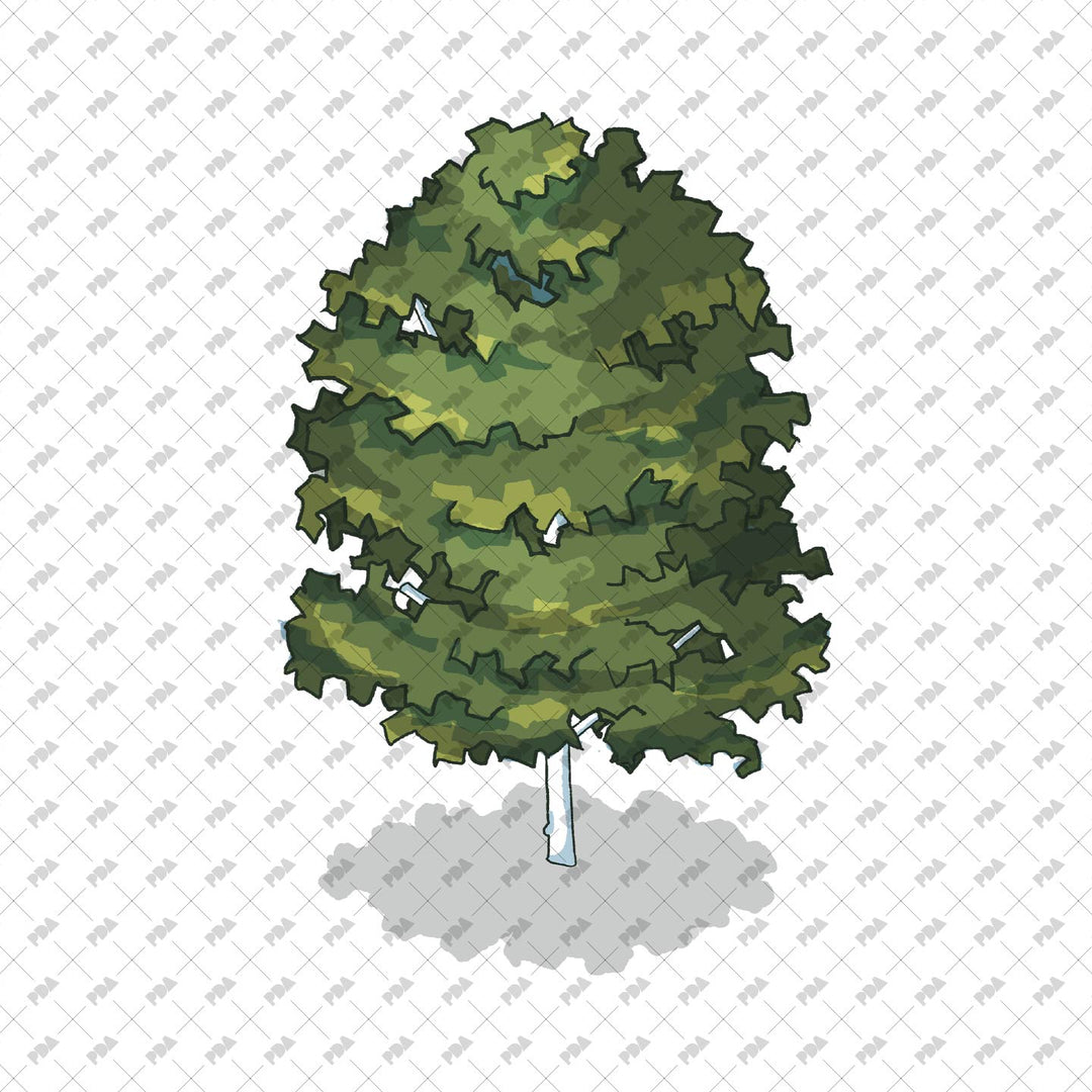 Isometric Hand Drawn Trees with and without shadows