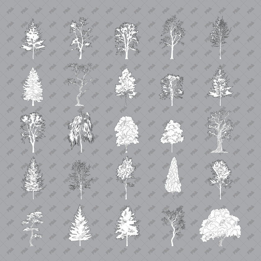 CAD & Vector Tree Illustrations for Architectural Drawings