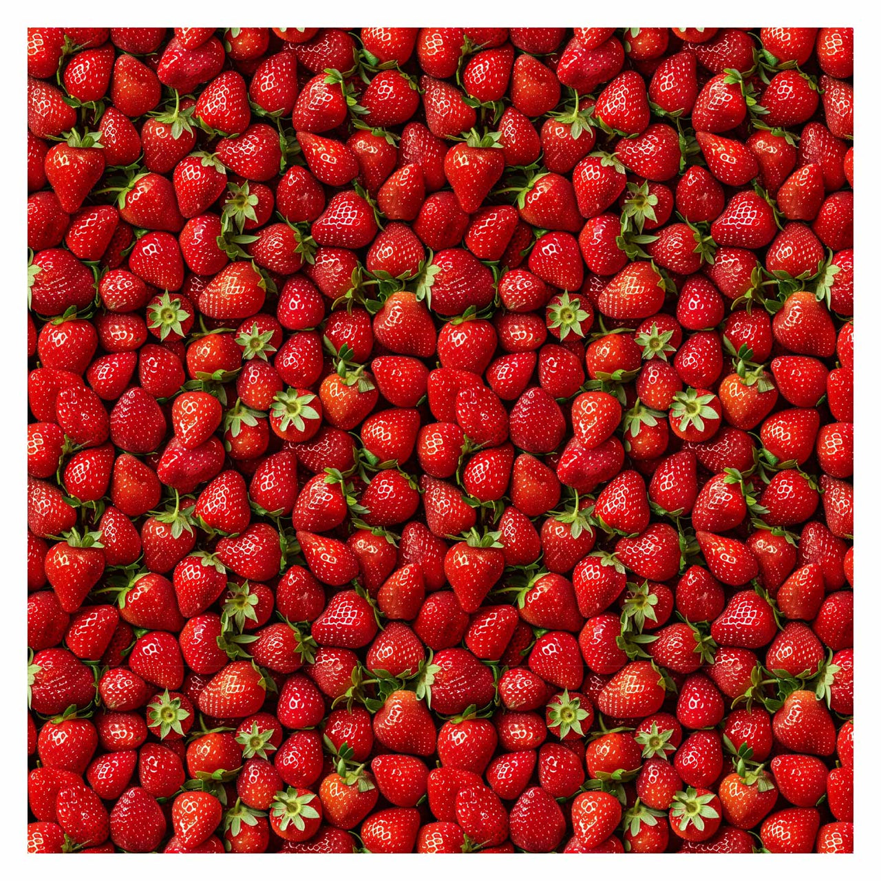 Pattern Library - Berries Textures (In top view)