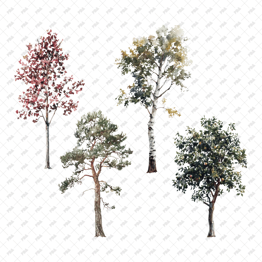Watercolor Trees for Architectural Drawings