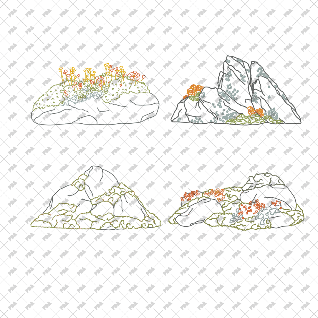 Large Rocks Cad Block CAD, Vector, PNG Rockscapes in Color and B/W