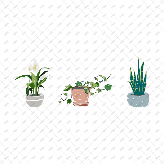 Vector, PNG Indoor Plants - Post Digital Architecture — Free and Affordable Resources for Architects