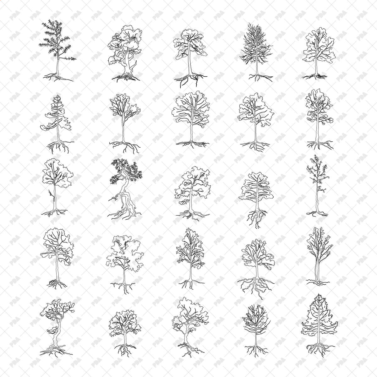 Tree Roots Vector Plan View CAD, Vector Trees with Roots in Color and B/W