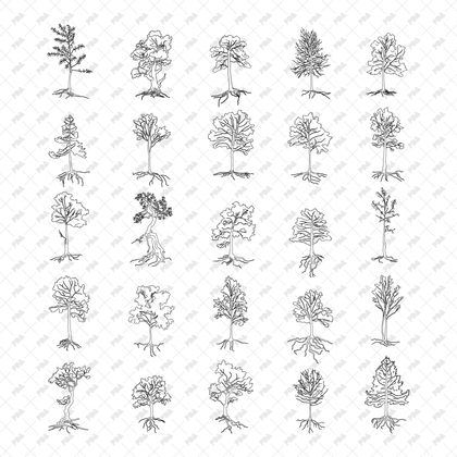 CAD, Vector Trees with Roots in Color and B/W