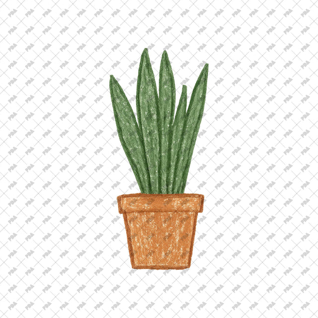 PNG Rough Hand-Drawn Plant Cutouts - Post Digital Architecture — Free and Affordable Resources for Architects