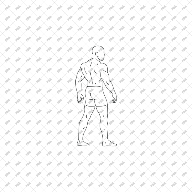 CAD Vector PNG Bodybuilders - Post Digital Architecture — Free and Affordable Resources for Architects