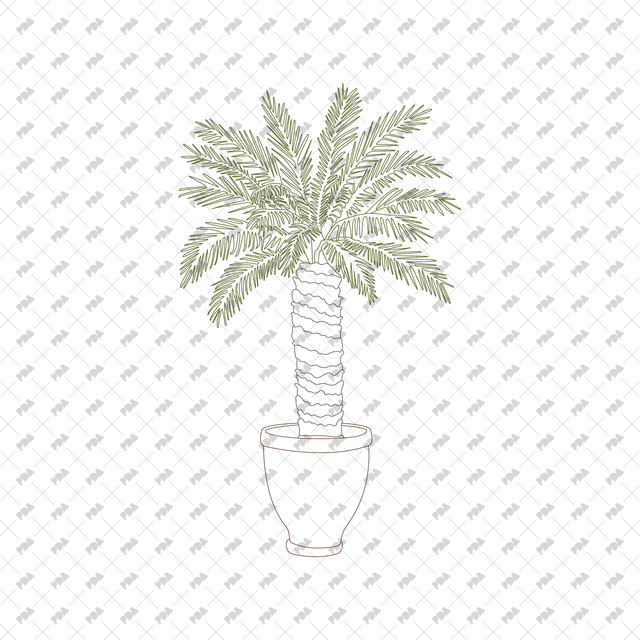 CAD, Vector Indoor Plants in Color and B/W Set (Front view) - Post Digital Architecture — Free and Affordable Resources for Architects