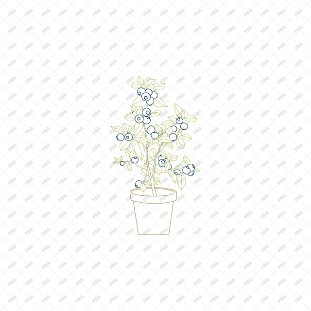 CAD, Vector Potted Fruit Trees and Plants (In color and B/W) - Post Digital Architecture — Free and Affordable Resources for Architects