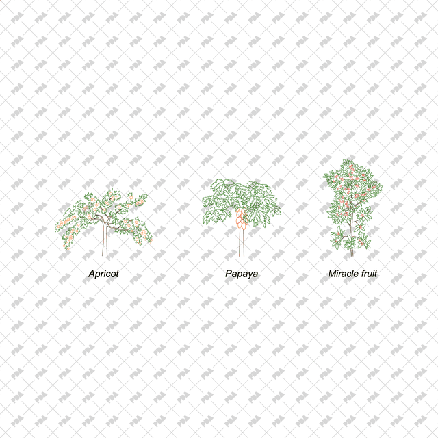 CAD, Vector Fruit Trees and Plants in Color - Post Digital Architecture — Free and Affordable Resources for Architects