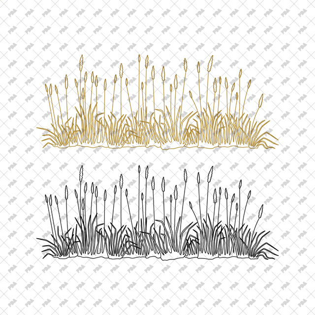 CAD, Vector Grass Beds in Color and B/W - Post Digital Architecture — Free and Affordable Resources for Architects