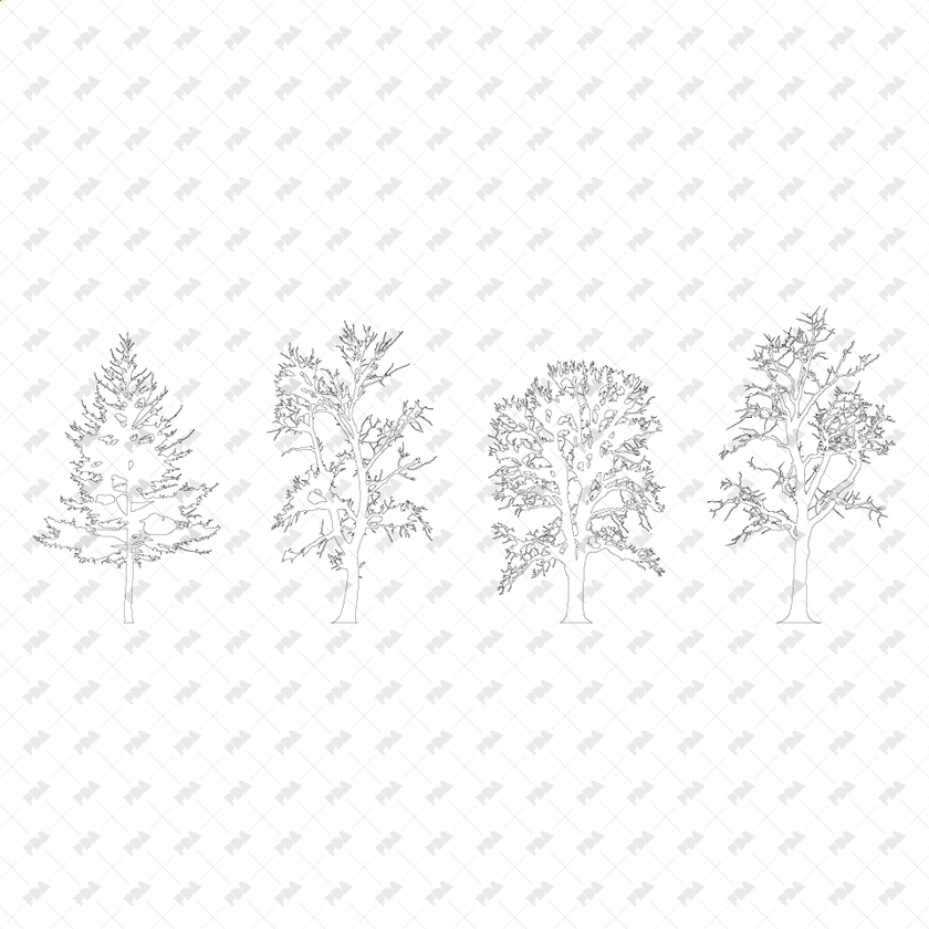 CAD & Vector Tree Illustrations for Architectural Drawings